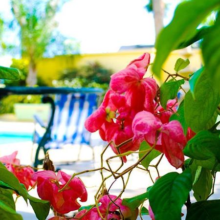 Golden Sands Hotel Christ Church Buitenkant foto